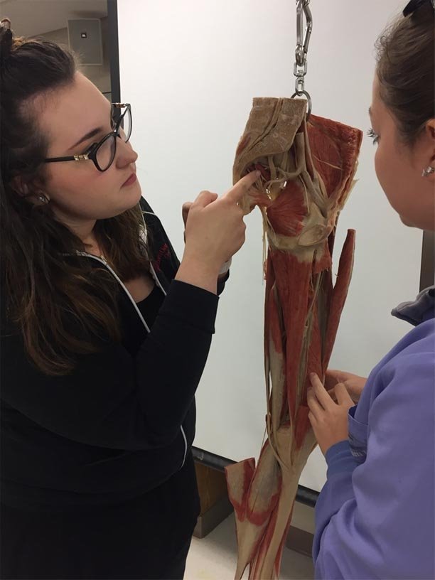 Mathias Alten Paintings